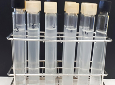 Incubator Shakers application in bacterial suspension preparation
