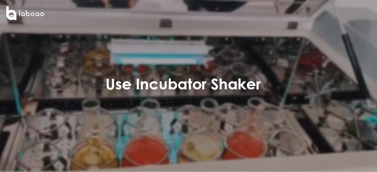 How to Use Incubator Shaker Correctly?