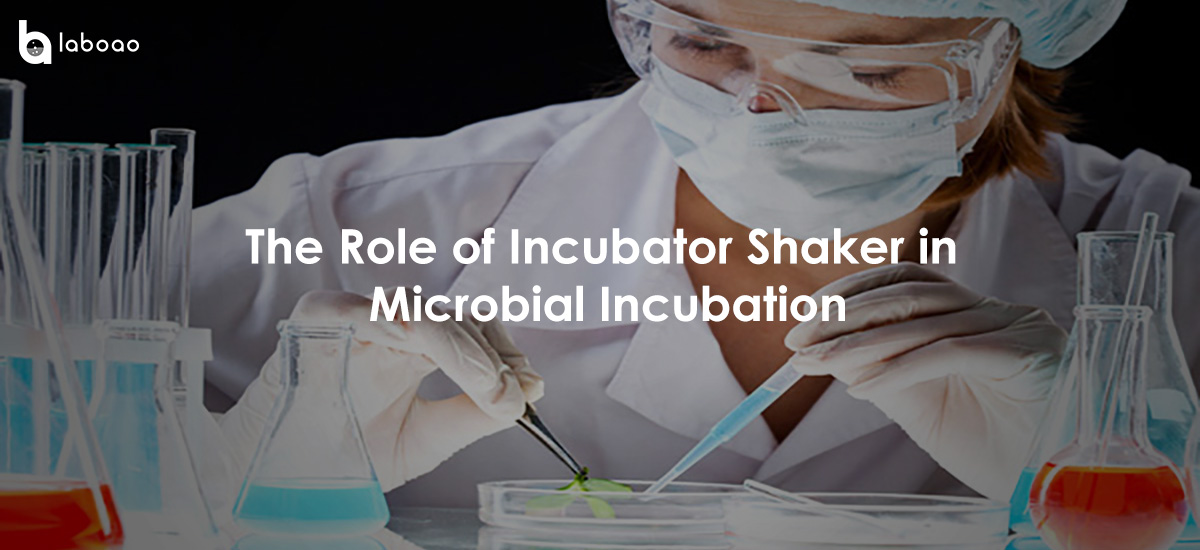 What is the role of constant temperature incubator shaker in microbial incubation