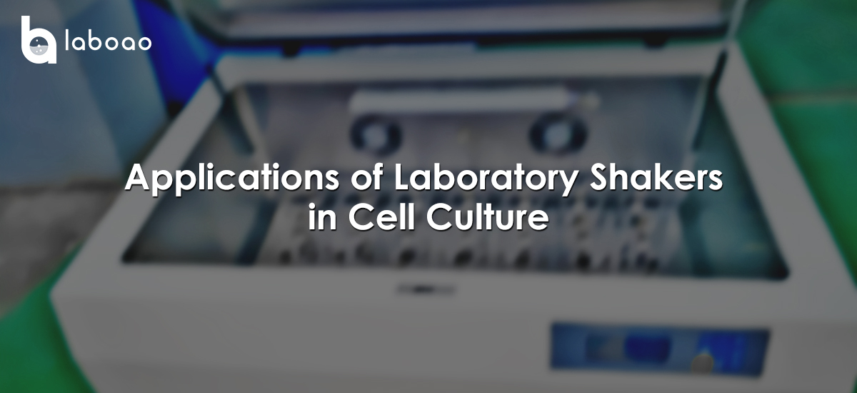 Applications Of Laboratory Shakers In Cell Culture