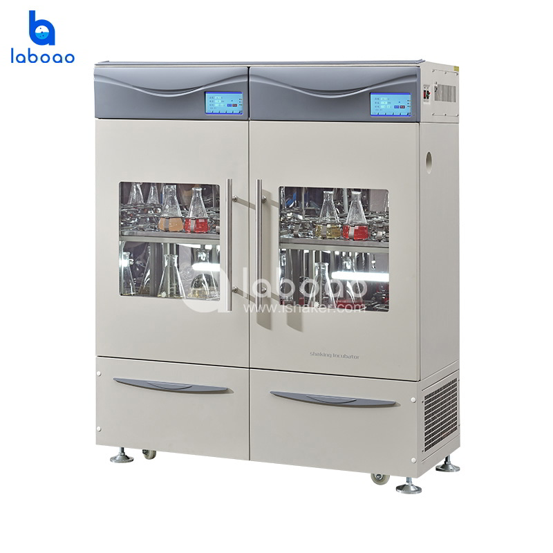 Double Row Double Control Constant Temperature Shaker