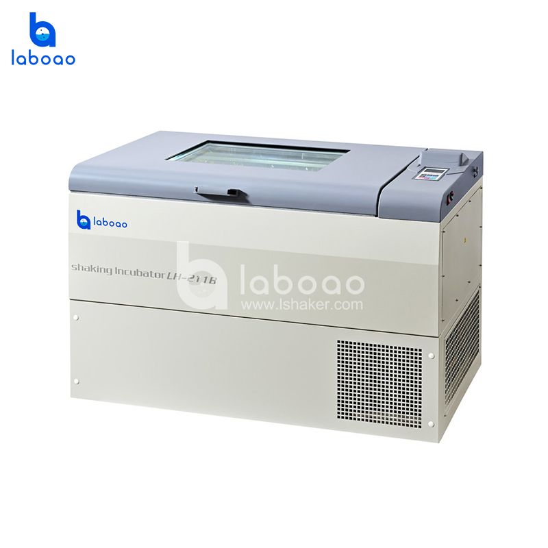 Standard Horizontal Constant Temperature Shaker