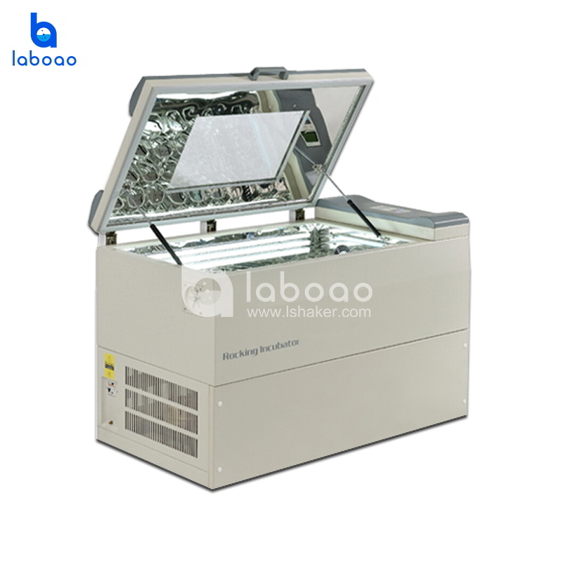 Standard Large Capacity Light Constant Temperature Shaker